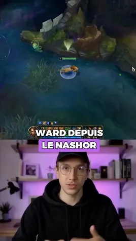 /uploads/vision_baron_nashor_placer_la_ward_parfaite_0243184ca9.jpg