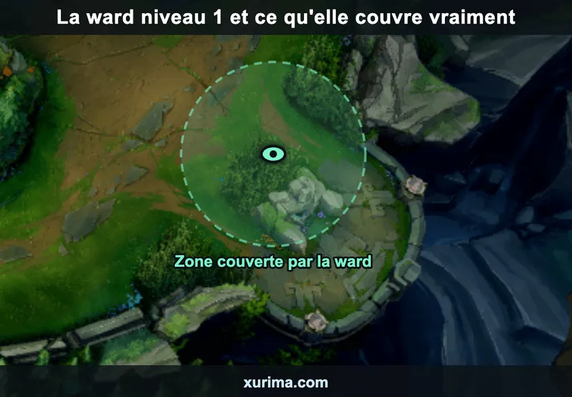 Carte du coin bot de Summoner's Rift montrant la ward posée au niveau 1 et le cercle de vision qu'elle couvre autour du buisson de lane